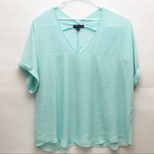 Living Doll Blue Sheer V Neck Blouse Tunic 3XL Top